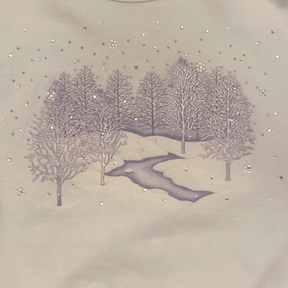 Vintage 90s Winter Wonderland Morning Sun Crewneck Sweatshirt Size Medium - Picture 2 of 5